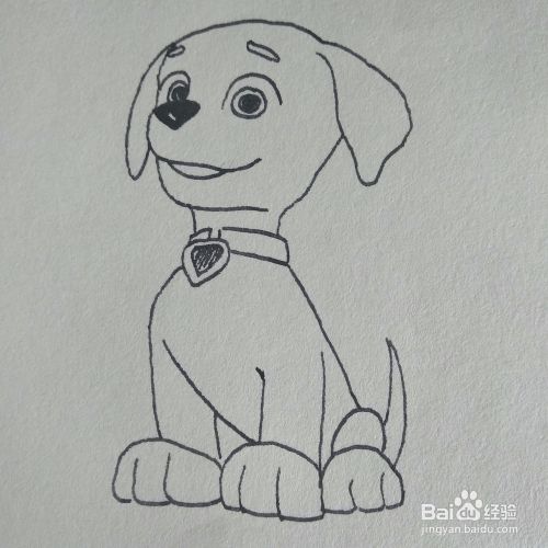 如何低价买宠物狗：轻松养宠攻略