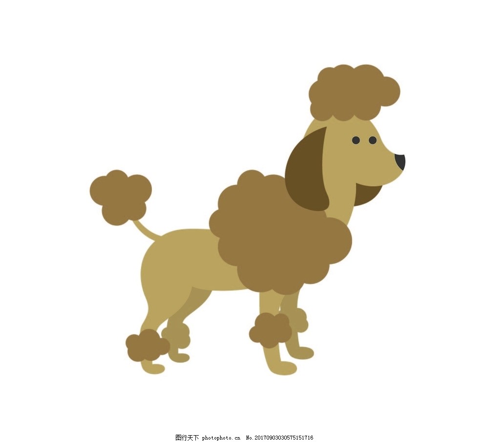 便宜好养宠物狗——打造温馨宠物生活指南